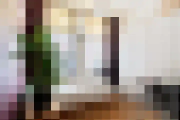 Saenredamstraat 9 Haarlem thumbnail 7