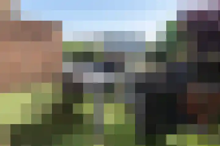 Saerdam 101 Lelystad thumbnail 35
