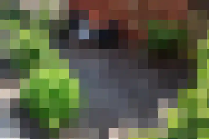 Saerdam 101 Lelystad thumbnail 37