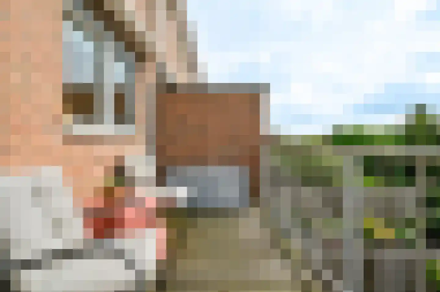 Saerdam 223 Lelystad thumbnail 16