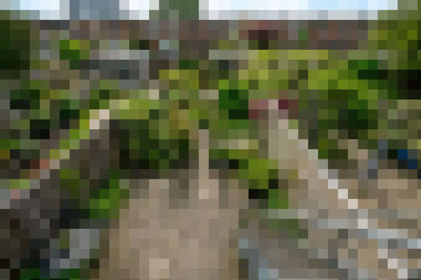 Saerdam 223 Lelystad thumbnail 19