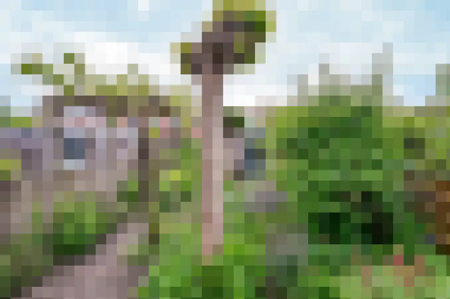 Saerdam 223 Lelystad thumbnail 38
