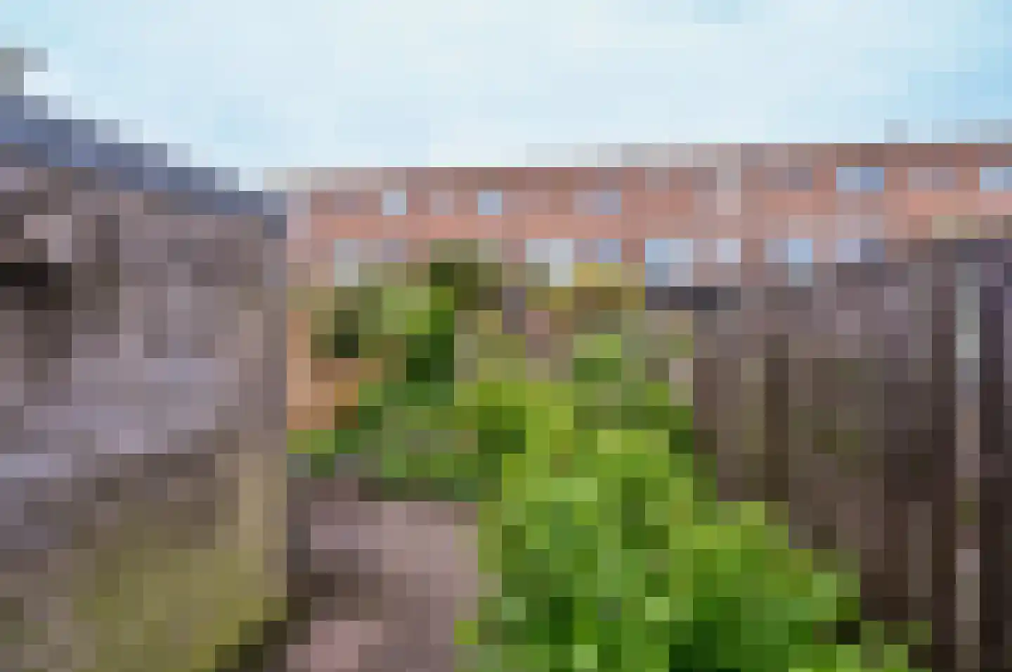 Saerdam 223 Lelystad thumbnail 40