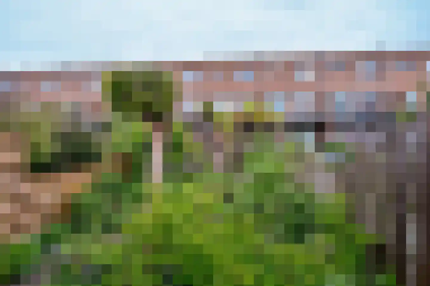 Saerdam 223 Lelystad thumbnail 41