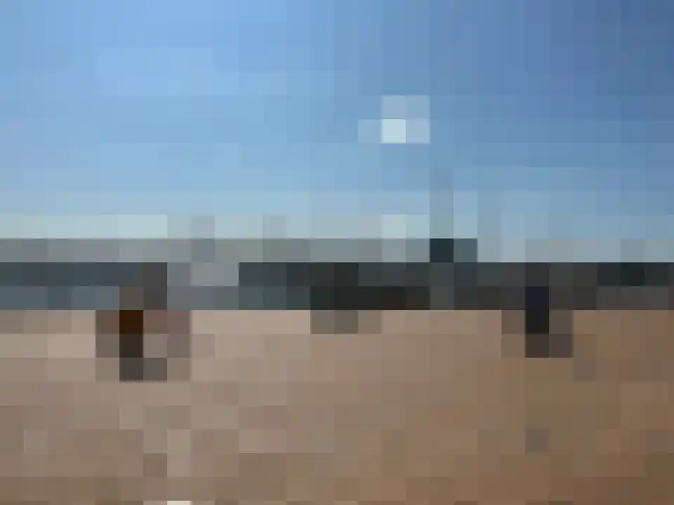 Saerdam 37 Lelystad thumbnail 29