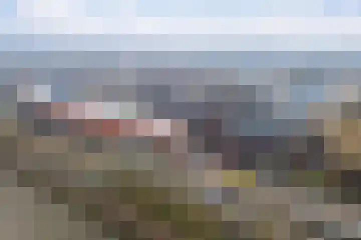 Safariweg 217 Maarssen thumbnail 38