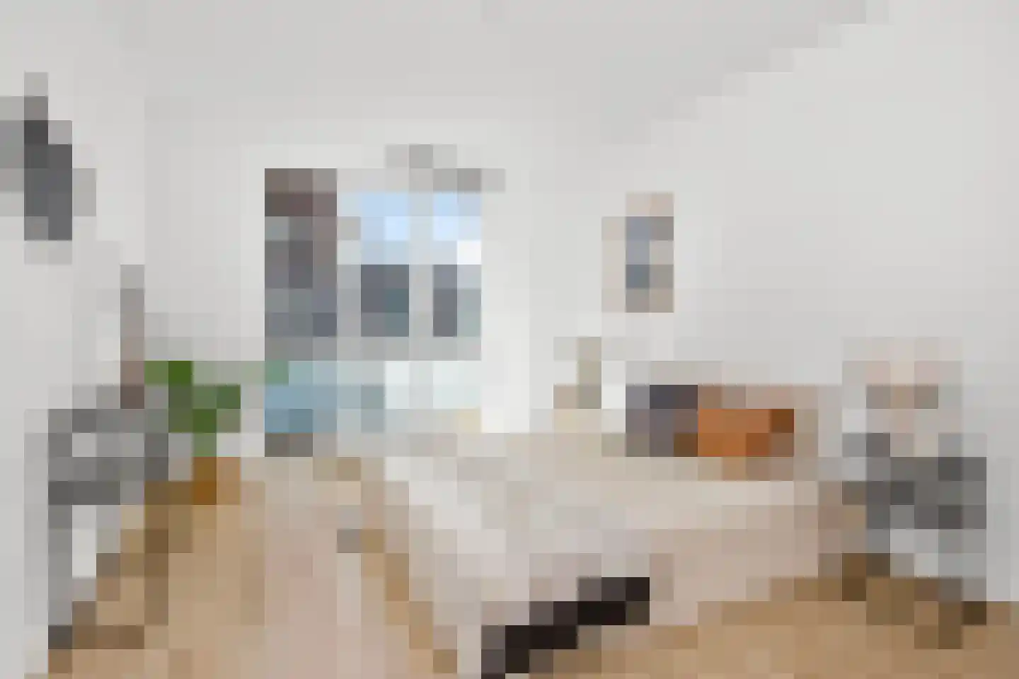 Safariweg 252 Maarssen thumbnail 28