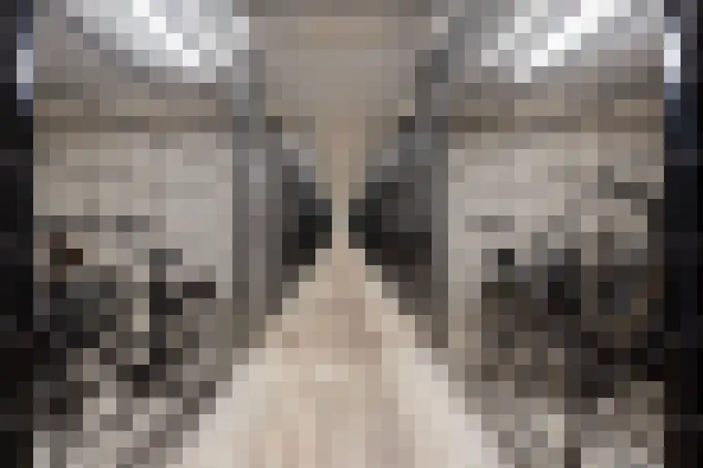 Safariweg 264 Maarssen thumbnail 26