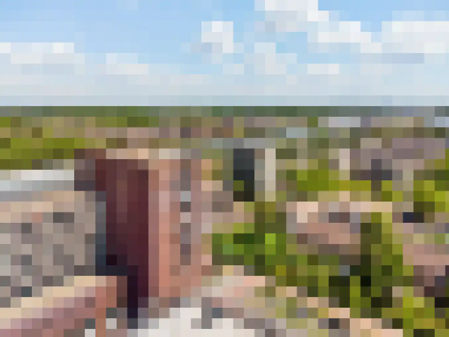 Safariweg 344 Maarssen thumbnail 40
