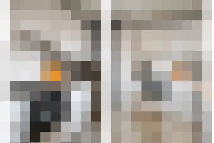 Safariweg 354 Maarssen thumbnail 19