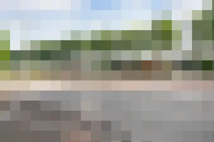 Safariweg 354 Maarssen thumbnail 27