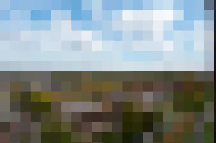 Safariweg 390 Maarssen thumbnail 25
