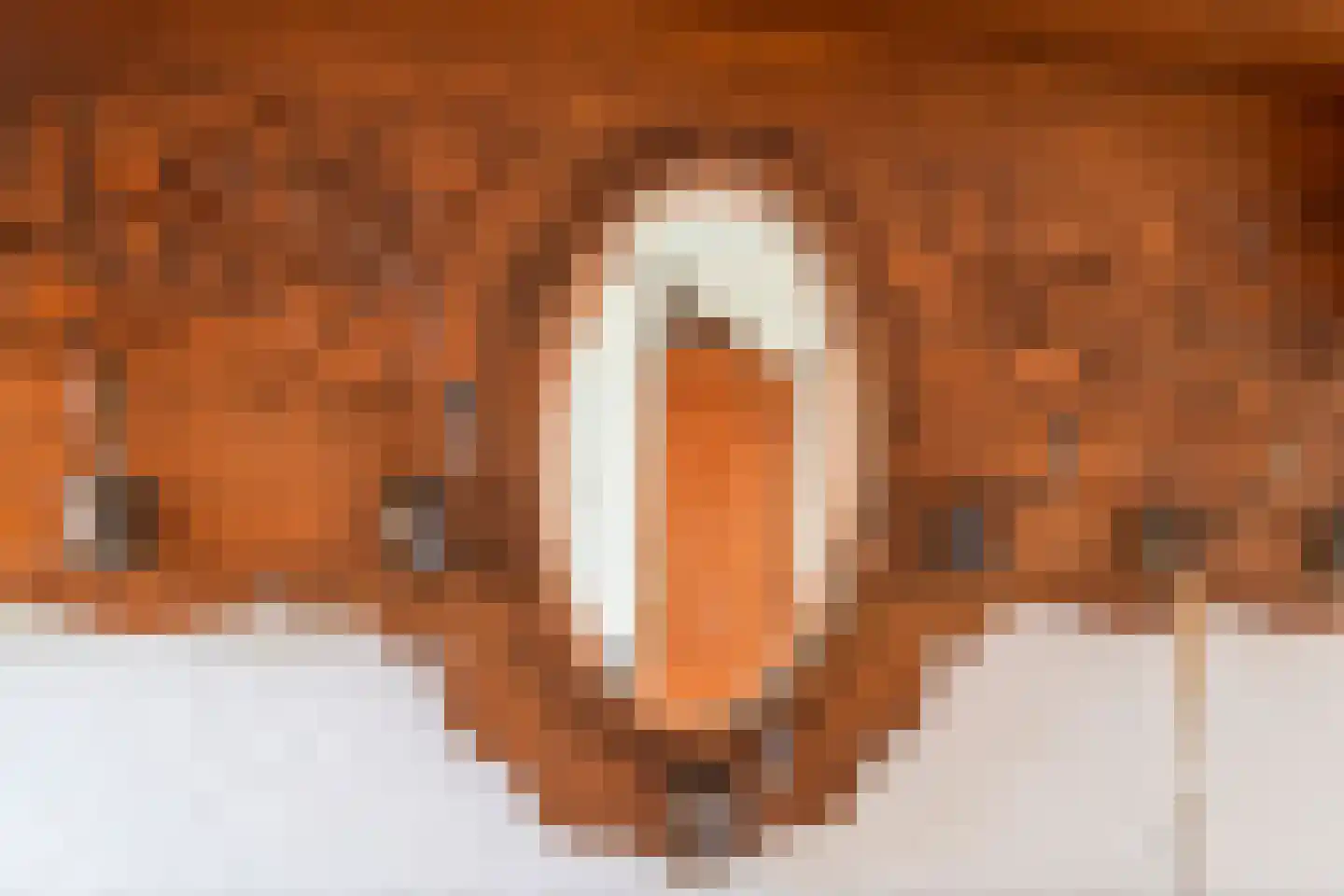 Saffatinstraat 5 Maurik thumbnail 13