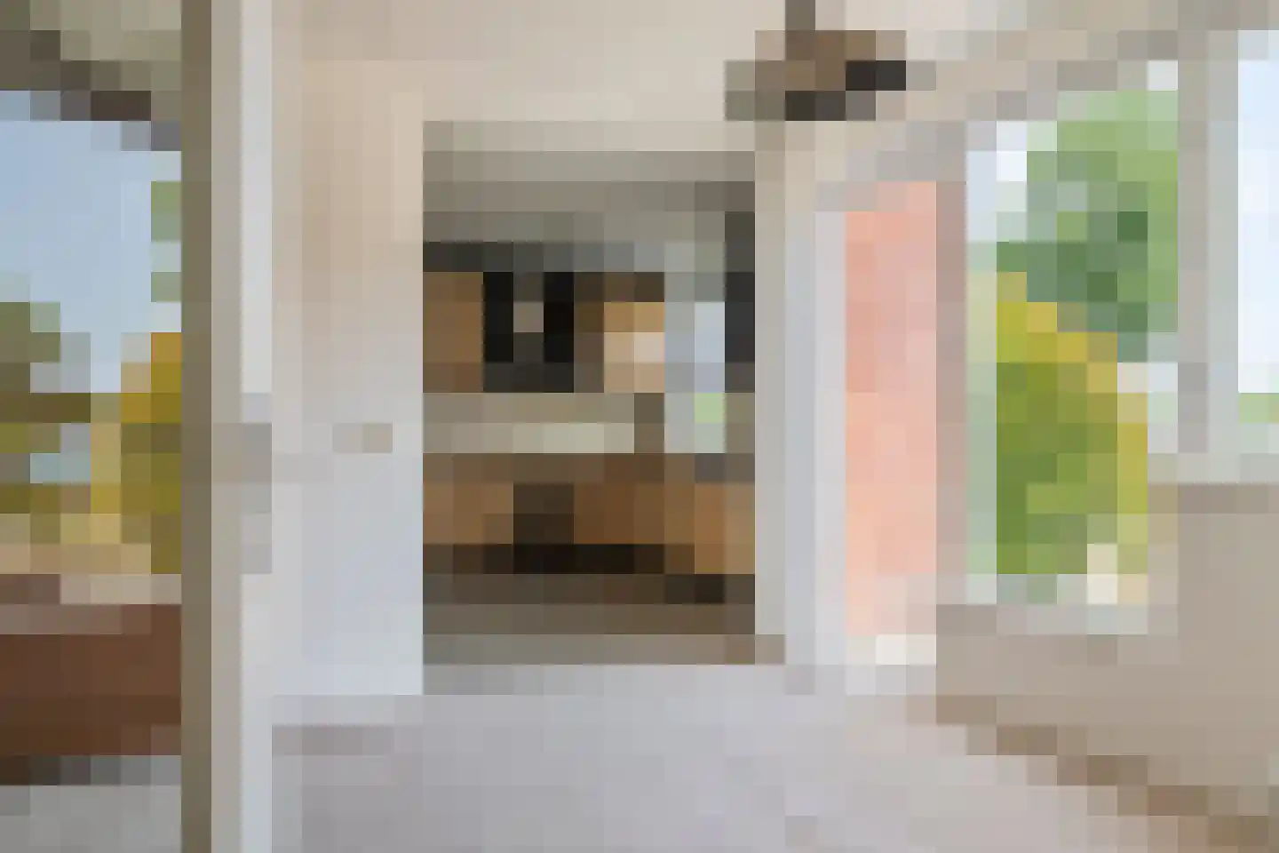 Saffatinstraat 5 Maurik thumbnail 14