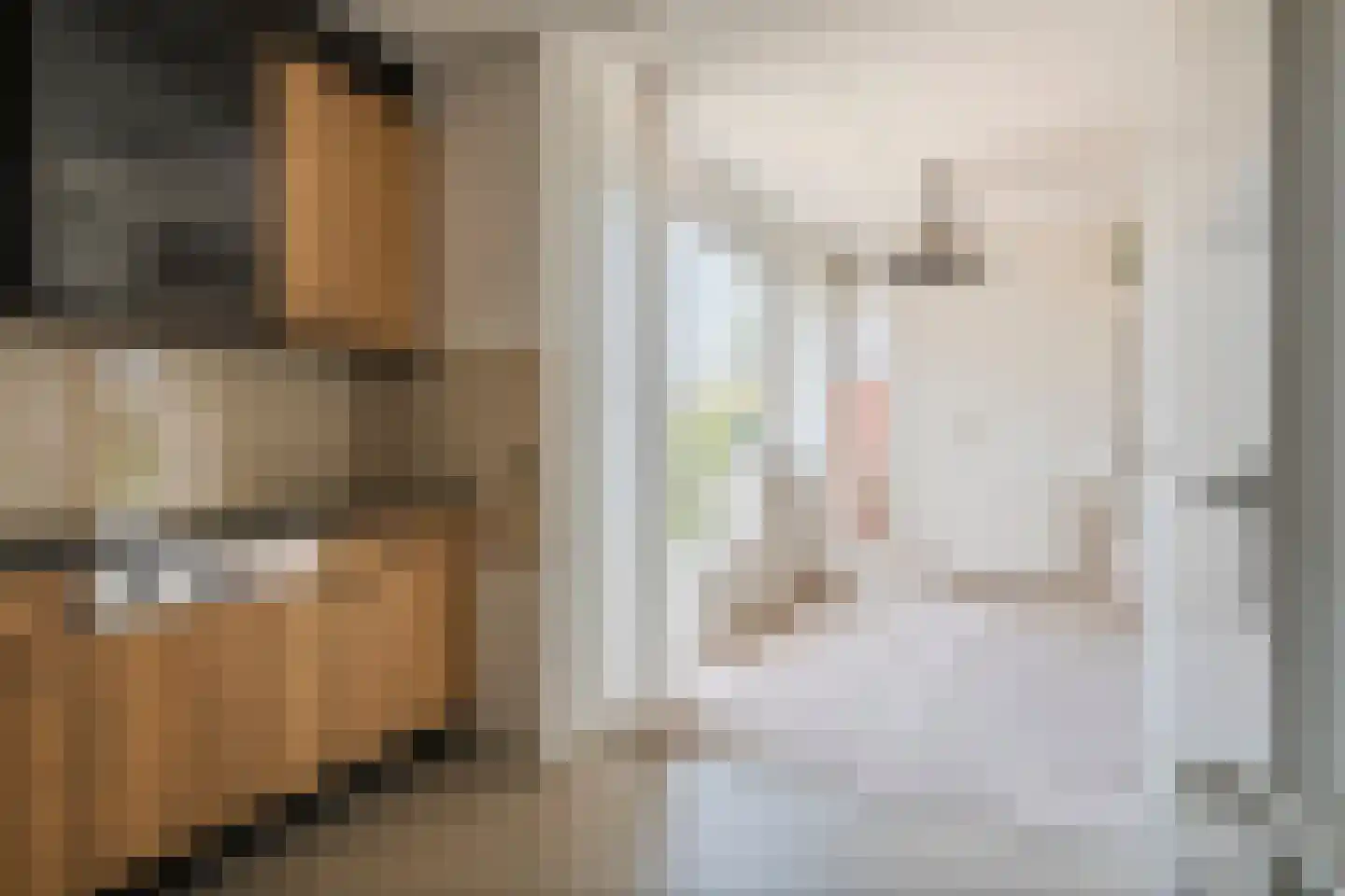 Saffatinstraat 5 Maurik thumbnail 17