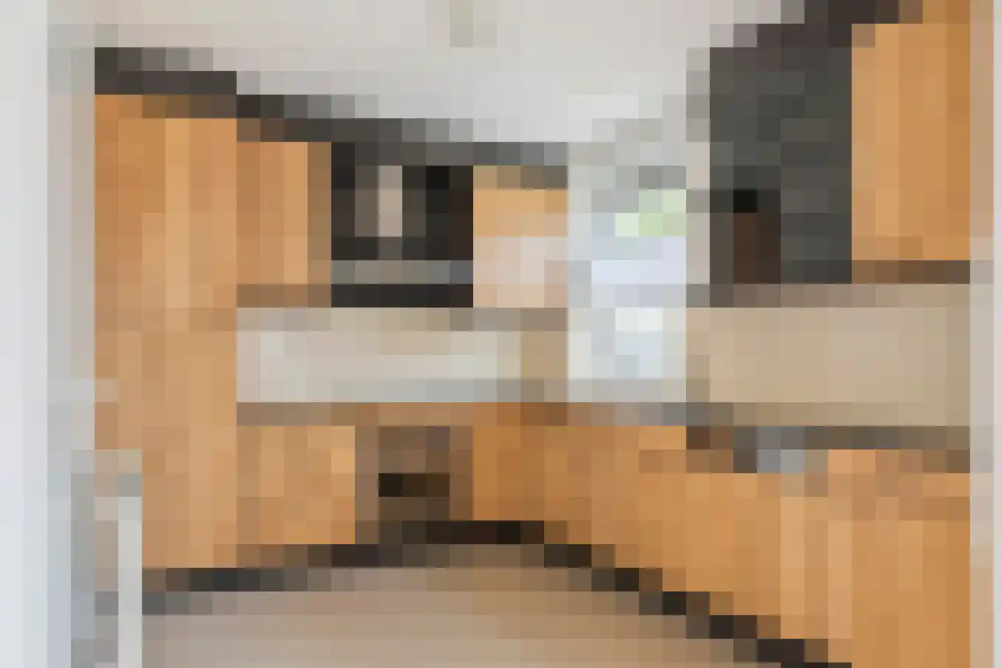 Saffatinstraat 5 Maurik thumbnail 4