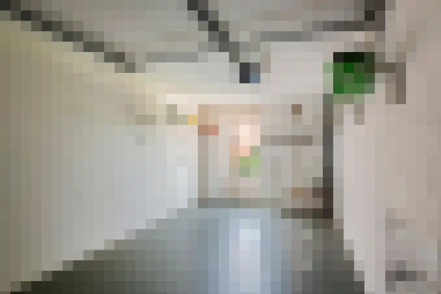 Saffatinstraat 5 Maurik thumbnail 41