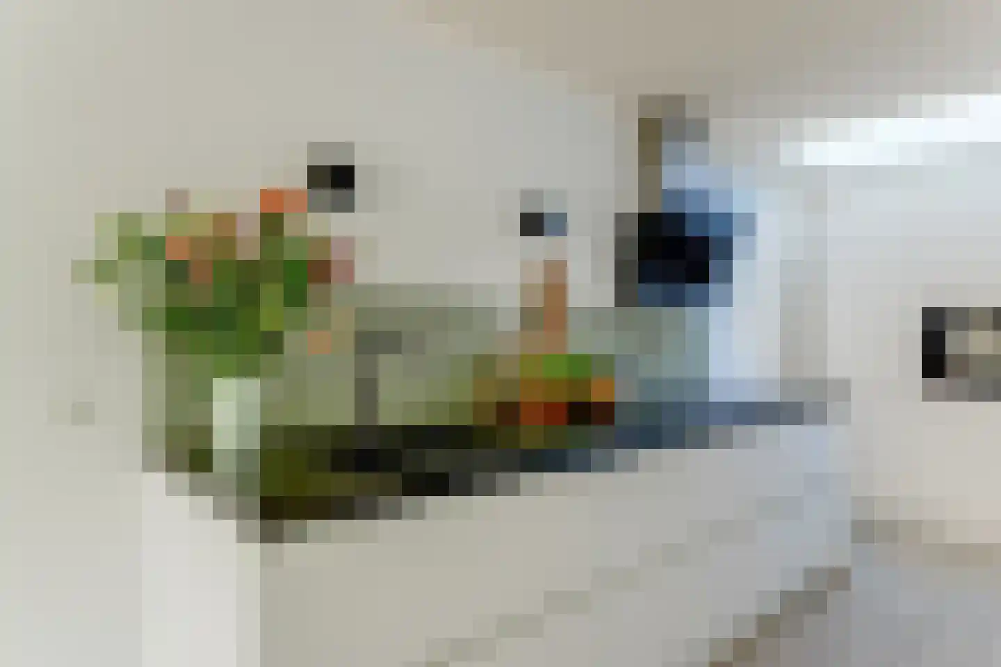 Saffier 11 Hoorn thumbnail 13