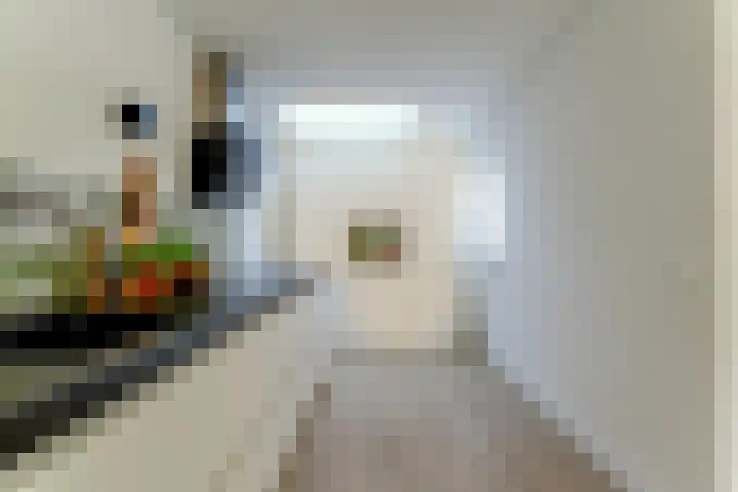 Saffier 11 Hoorn thumbnail 14