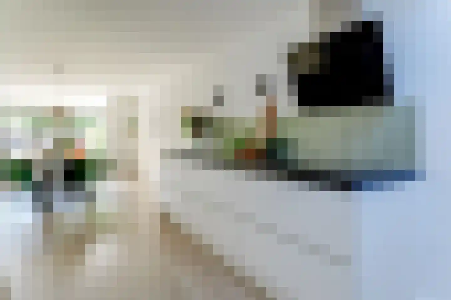 Saffier 11 Hoorn thumbnail 15
