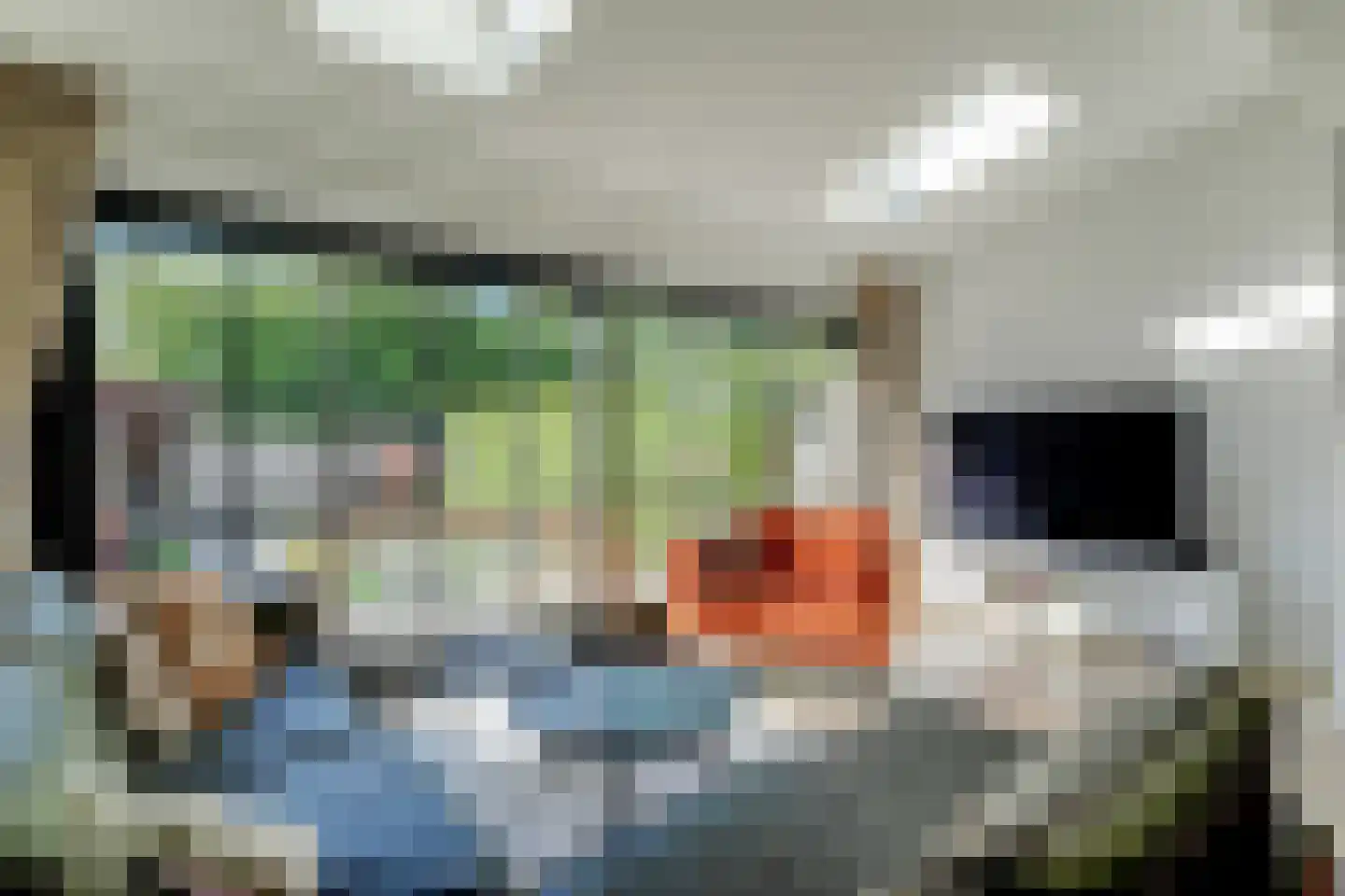 Saffier 11 Hoorn thumbnail 18