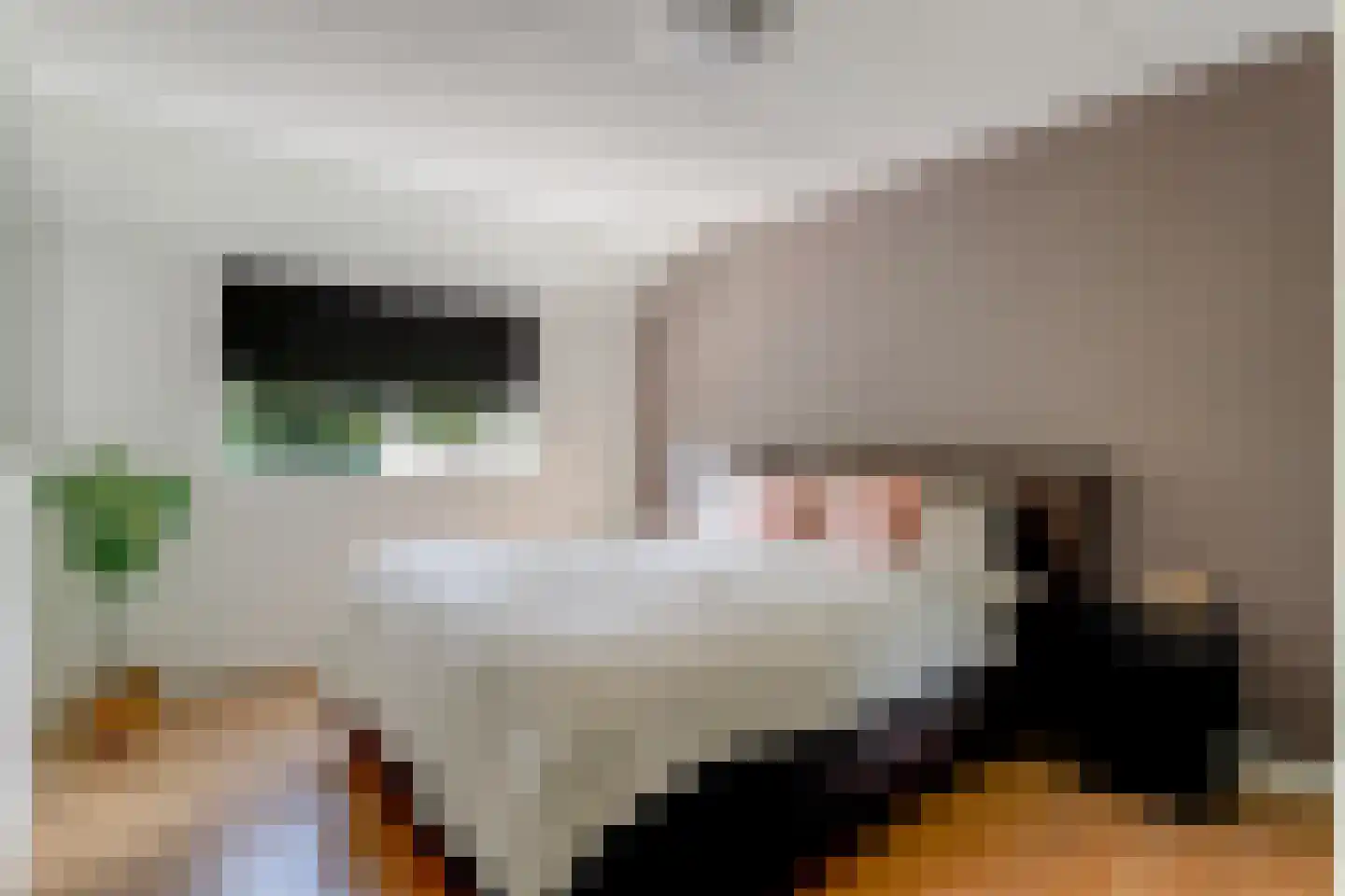 Saffier 11 Hoorn thumbnail 27