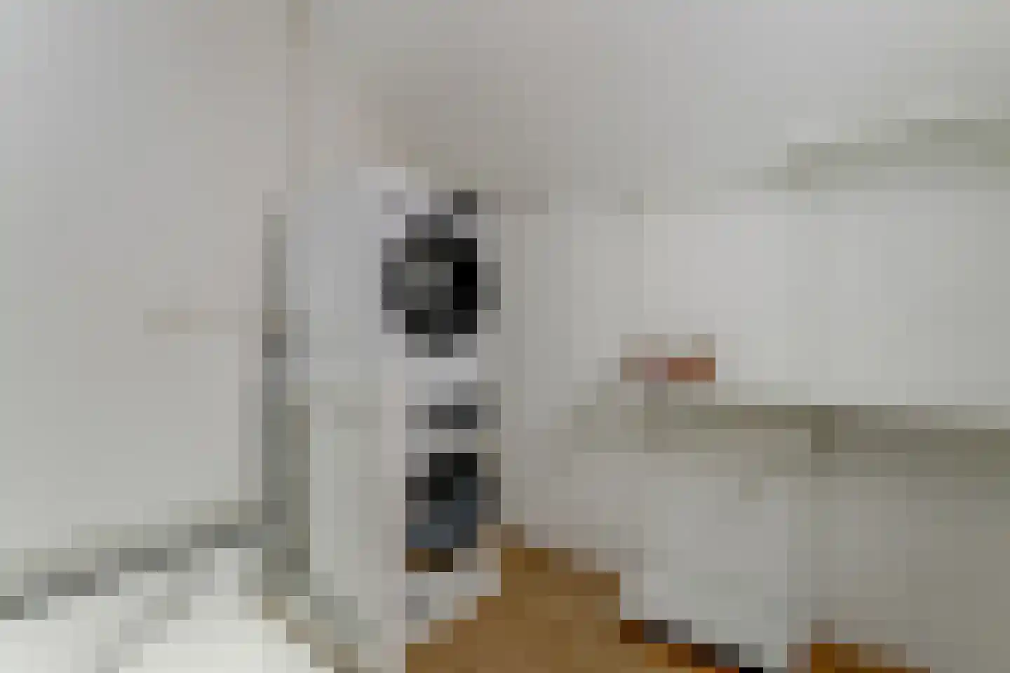 Saffier 11 Hoorn thumbnail 36