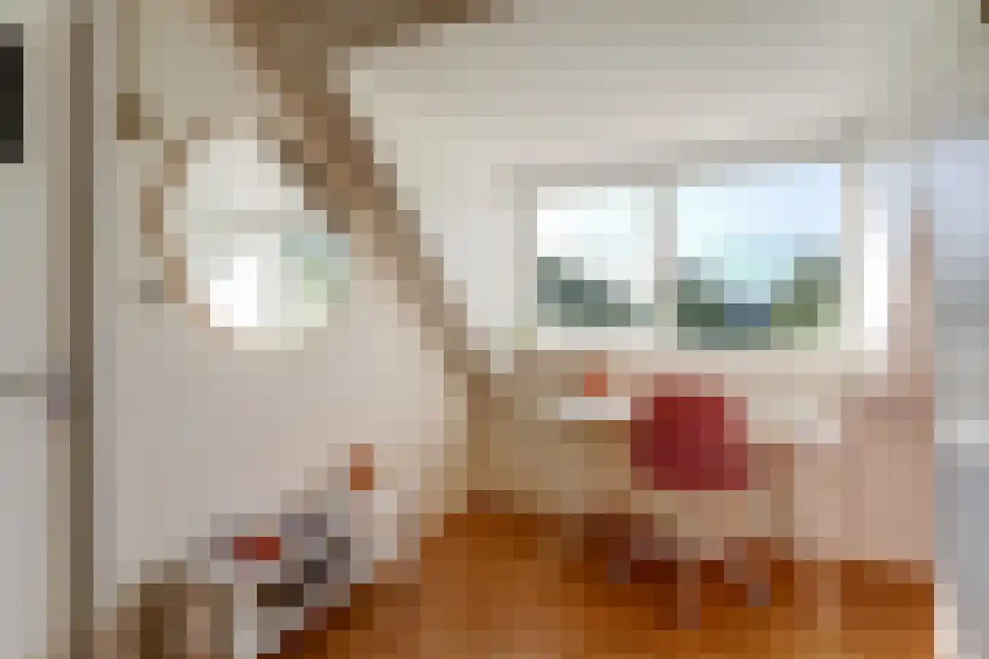 Saffier 11 Hoorn thumbnail 38