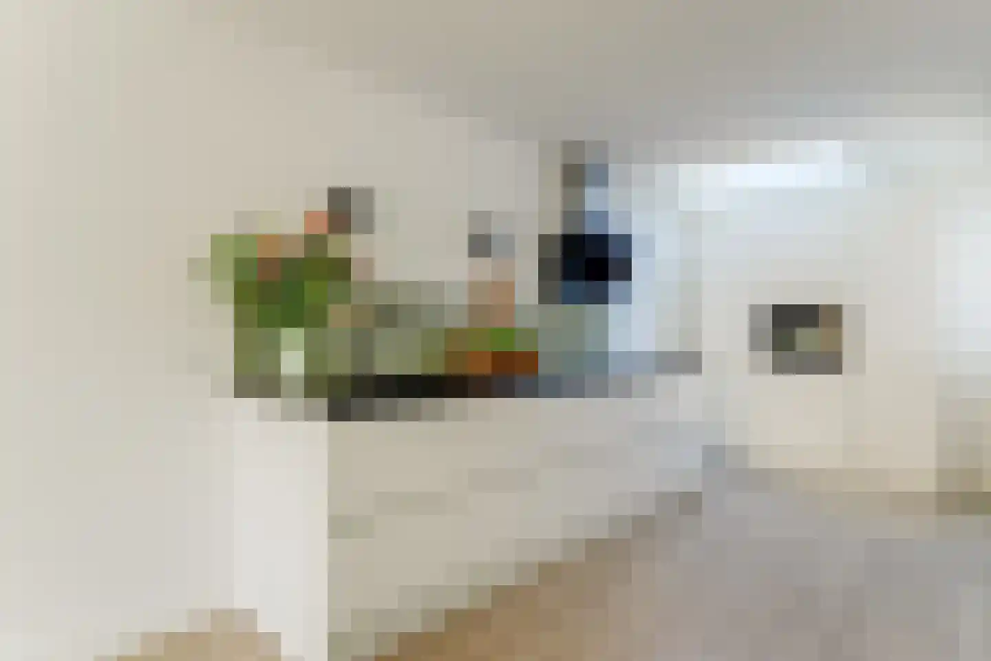 Saffier 11 Hoorn thumbnail 4