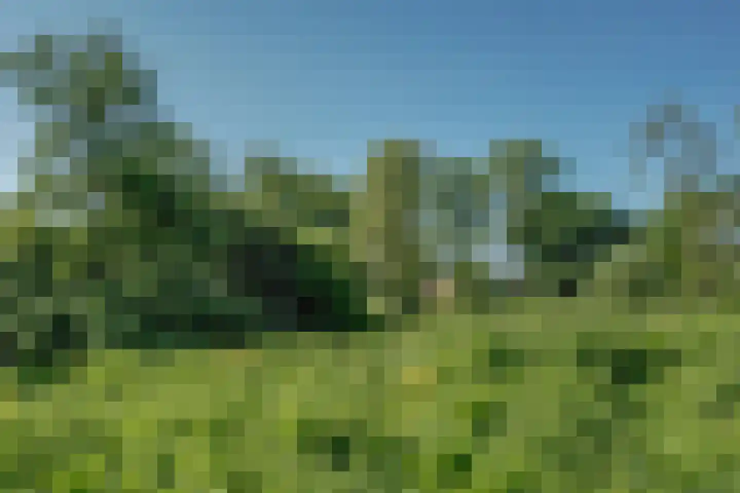Saffier 11 Hoorn thumbnail 45