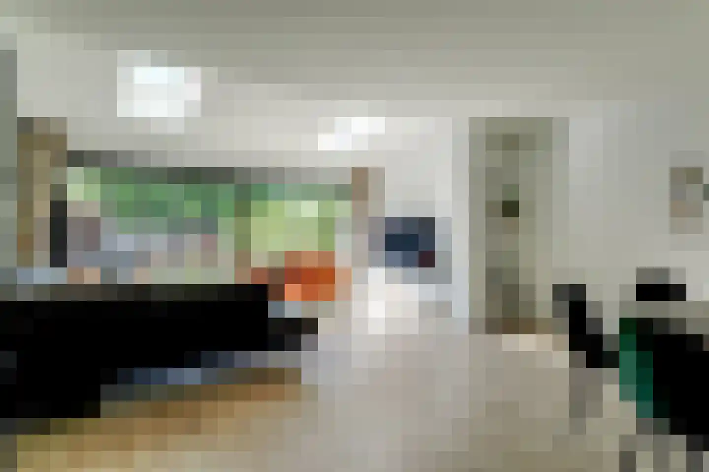 Saffier 11 Hoorn thumbnail 9