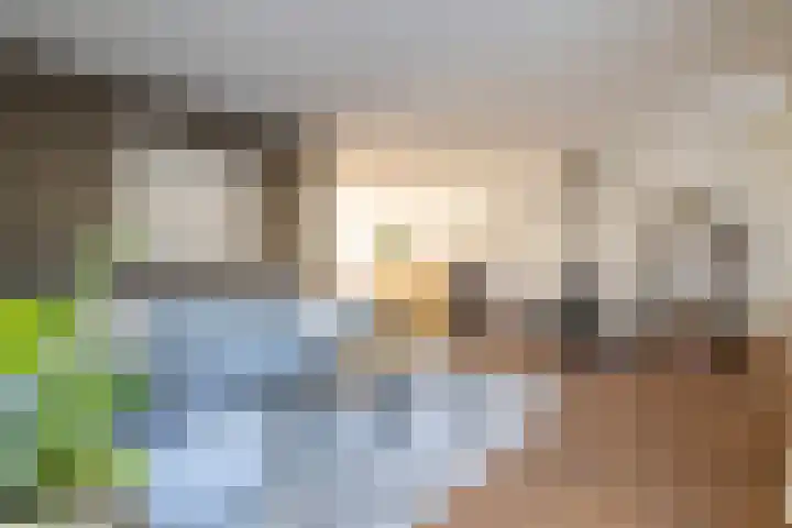 Saffier 12 Drachten thumbnail 14