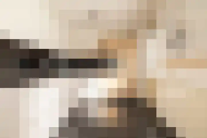 Saffier 12 Drachten thumbnail 17