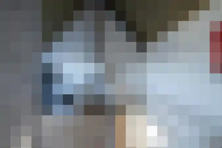 Saffier 12 Drachten thumbnail 31