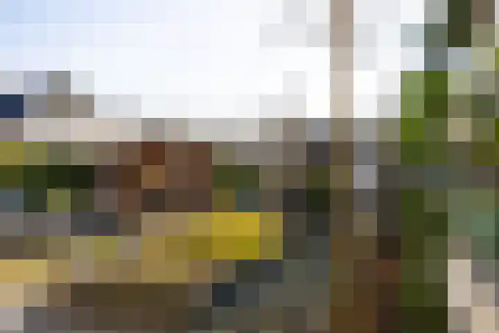 Saffier 12 Drachten thumbnail 39