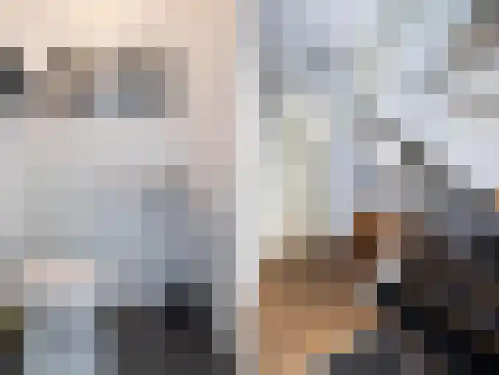 Saffier 12 Drachten thumbnail 6