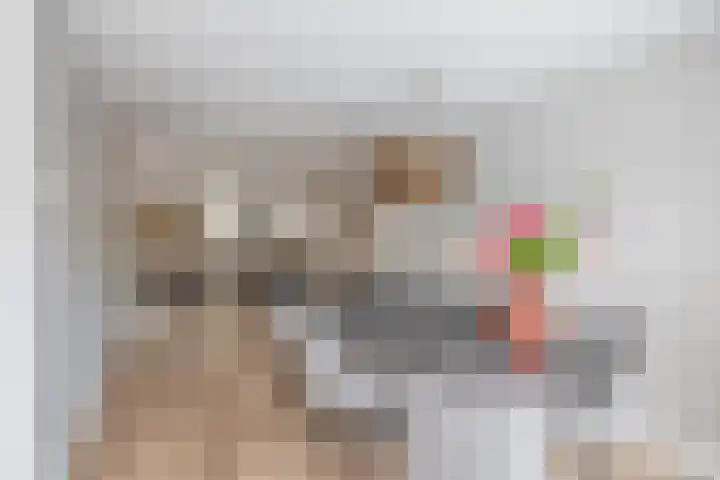 Saffier 16 Venlo thumbnail 10