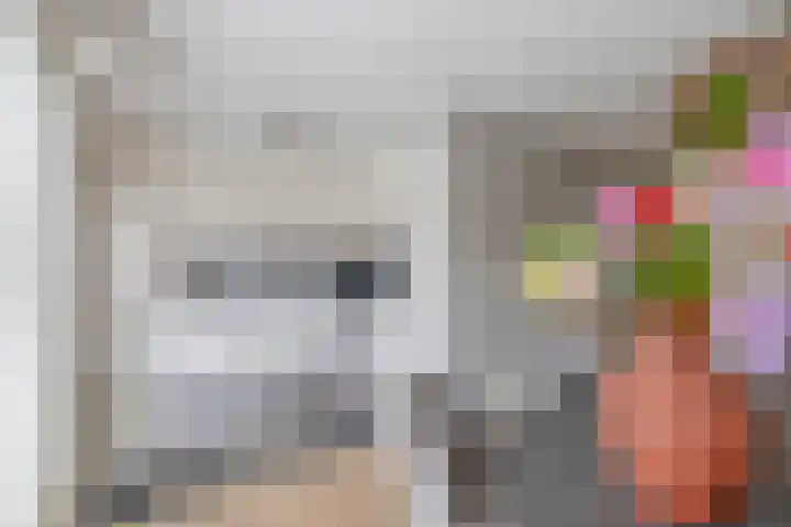 Saffier 16 Venlo thumbnail 11