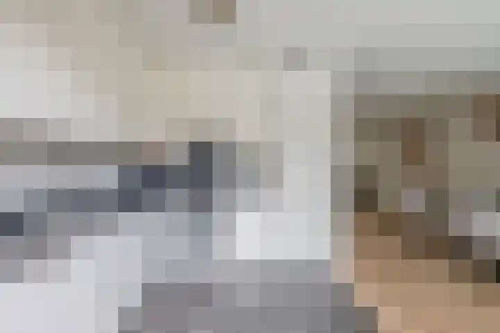 Saffier 16 Venlo thumbnail 12