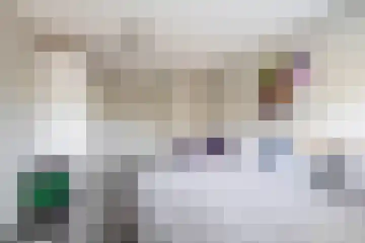 Saffier 16 Venlo thumbnail 18