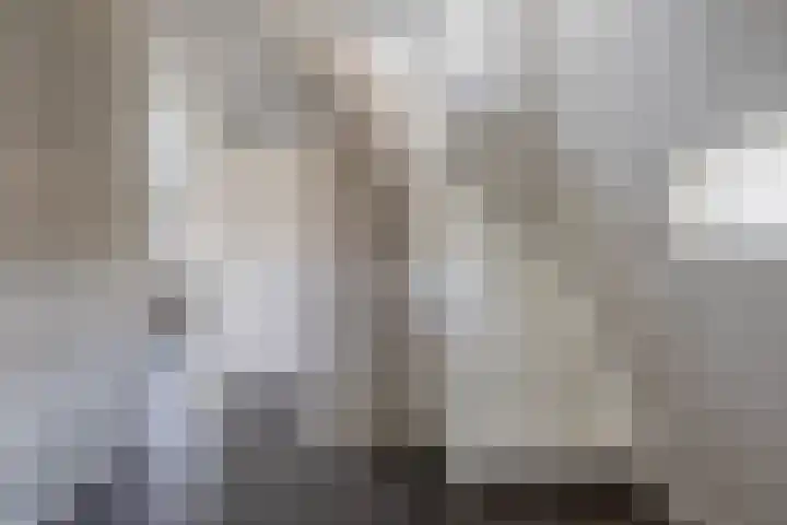 Saffier 16 Venlo thumbnail 24