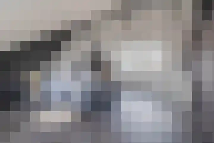 Saffier 16 Venlo thumbnail 26