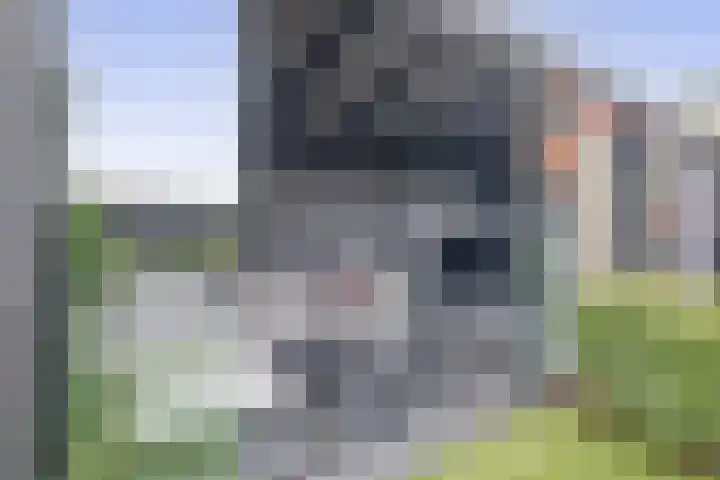 Saffier 16 Venlo thumbnail 27