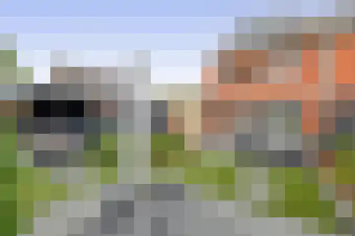 Saffier 16 Venlo thumbnail 29
