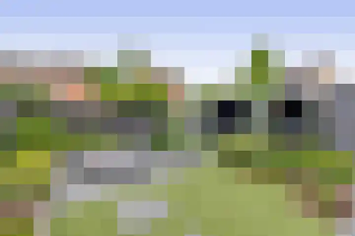 Saffier 16 Venlo thumbnail 31