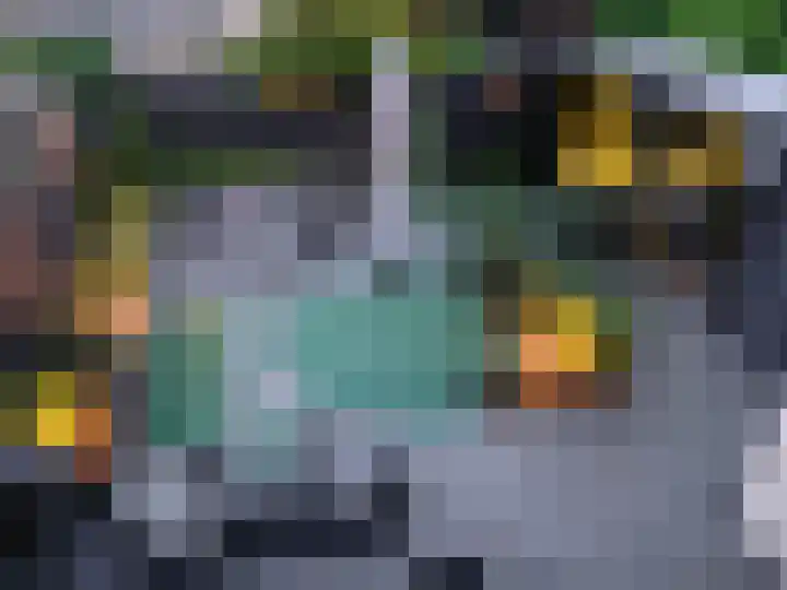 Saffier 16 Venlo thumbnail 36