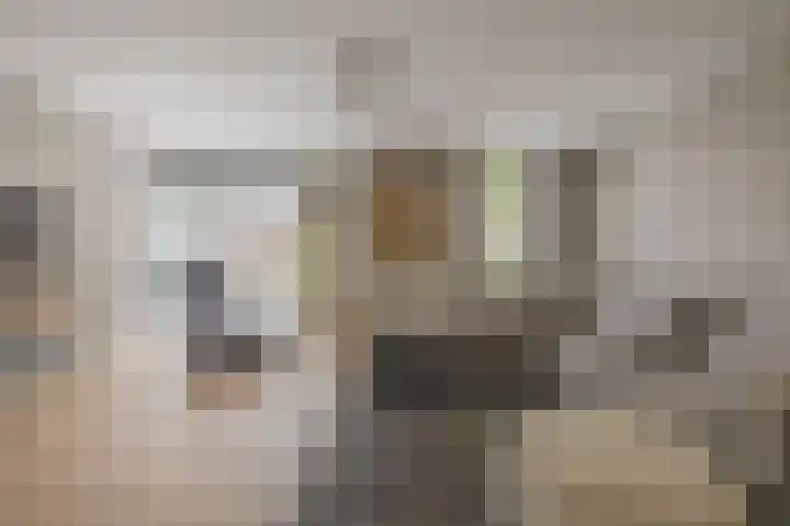 Saffier 16 Venlo thumbnail 4