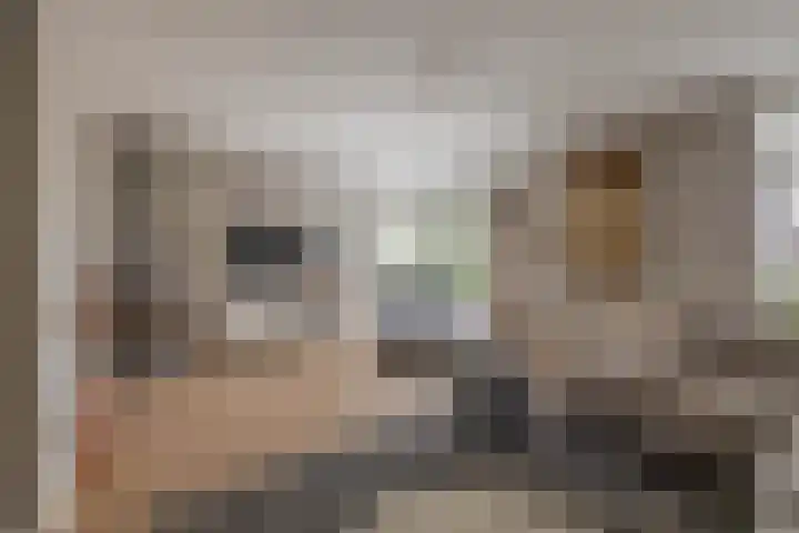 Saffier 16 Venlo thumbnail 5