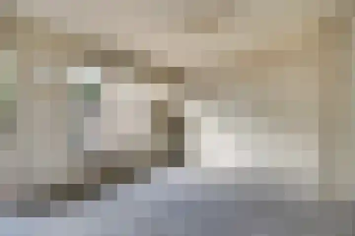 Saffier 2 Hoorn thumbnail 11