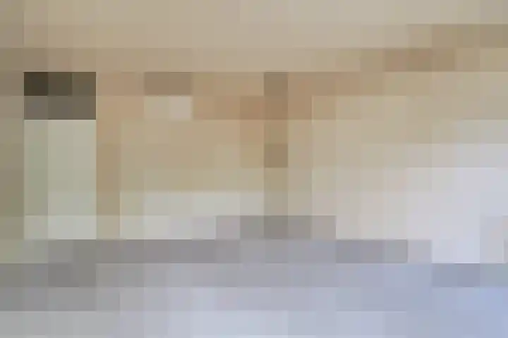 Saffier 2 Hoorn thumbnail 14